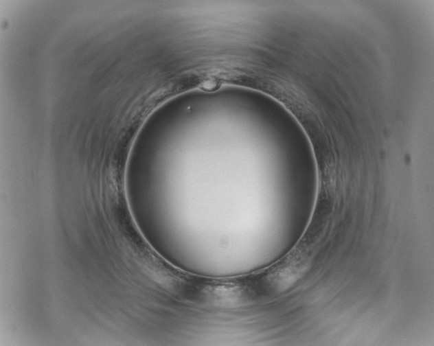 X0000070880506200606191318