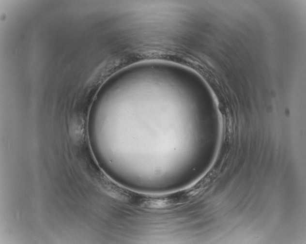 X0000070880507200606191318