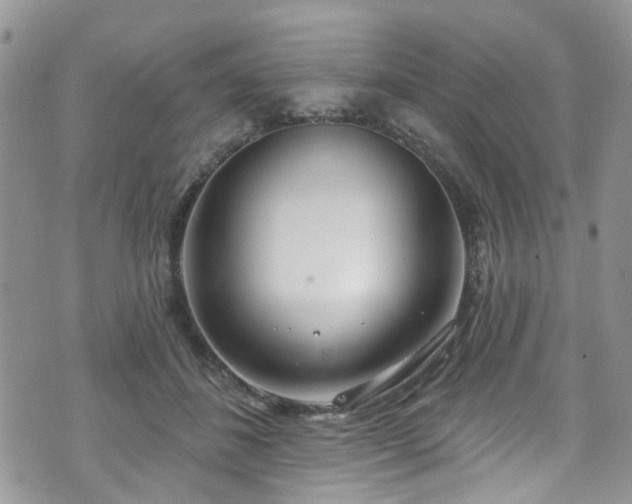 X0000070880508200606191318