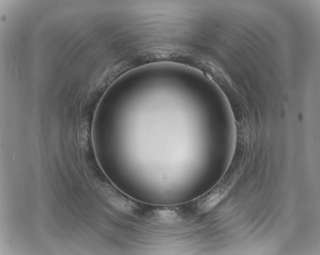 X0000070880509200606191318