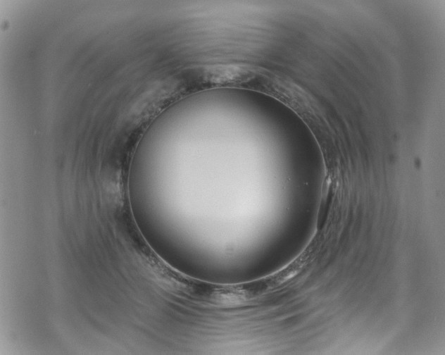 X0000070880510200606191318