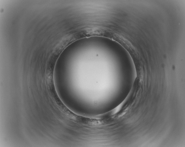 X0000070880513200606191318