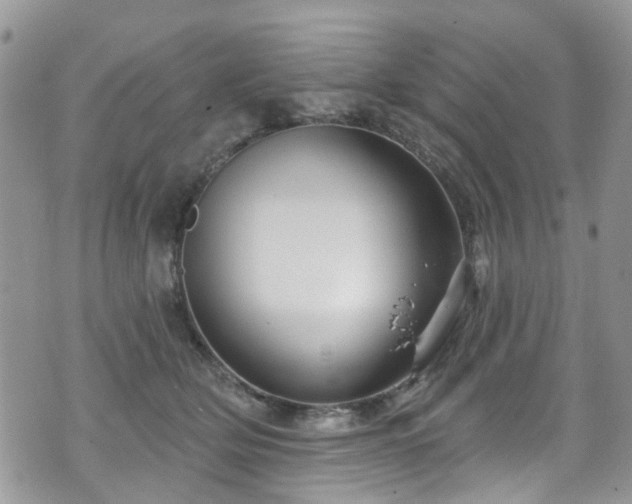 X0000070880514200606191318