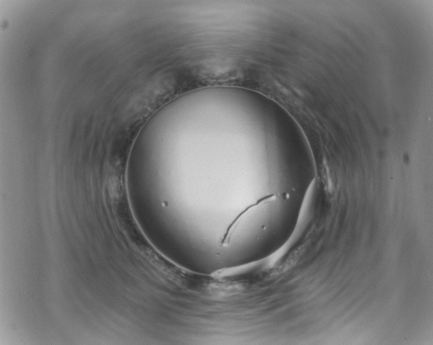 X0000070880515200606191318