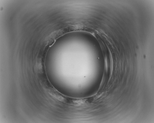 X0000070880516200606191318