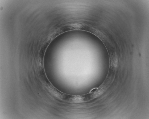 X0000070880518200606191318