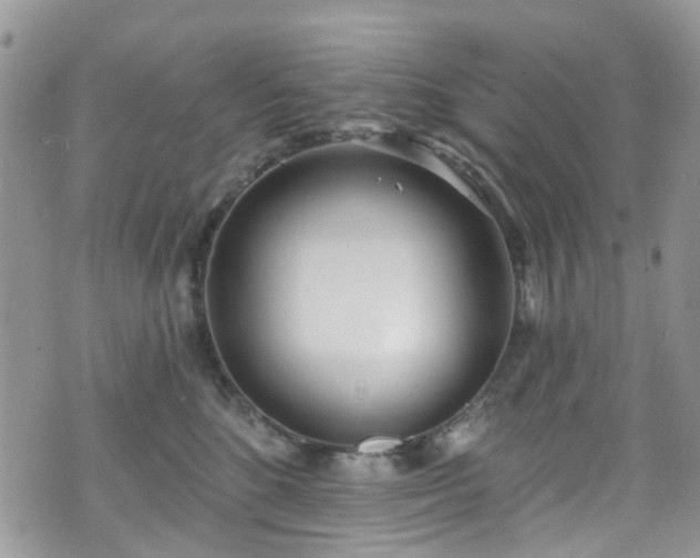 X0000070880520200606191318