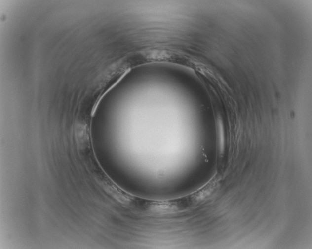 X0000070880521200606191318