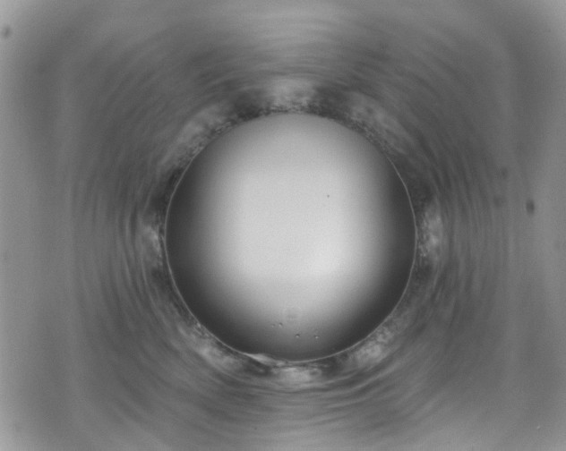 X0000070880522200606191318