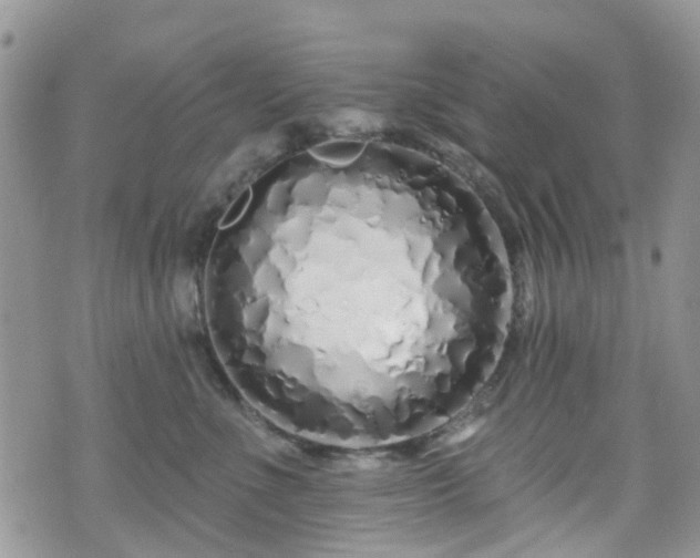 X0000070880523200606191318