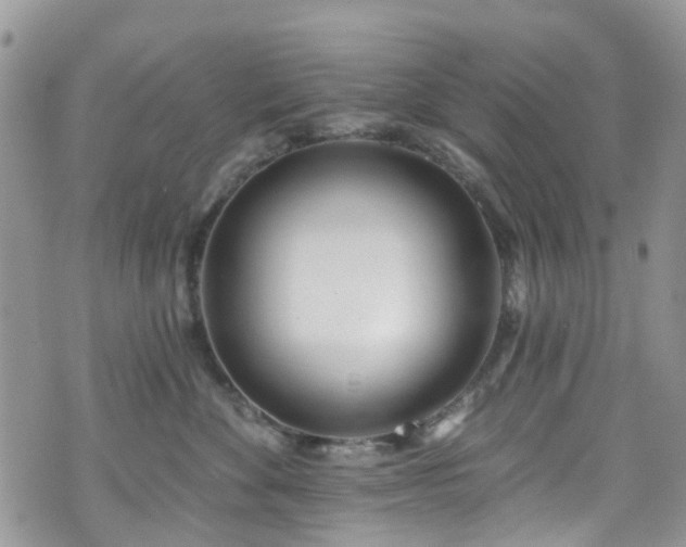 X0000070880524200606191318