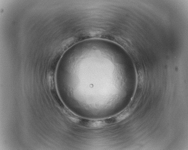 X0000070880527200606191318