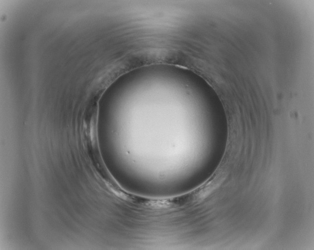 X0000070880528200606191318