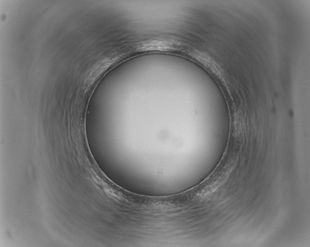 X0000070880529200606191317