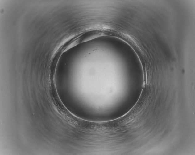 X0000070880531200606191317