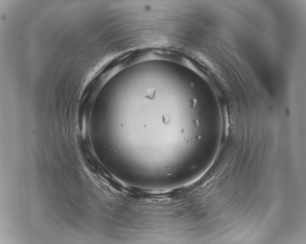 X0000070880532200606191317