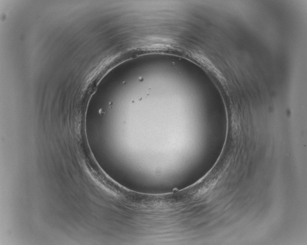 X0000070880533200606191317