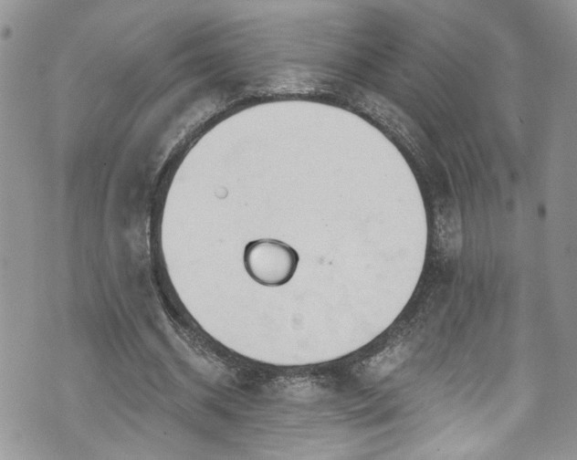 X0000070880534200606191317