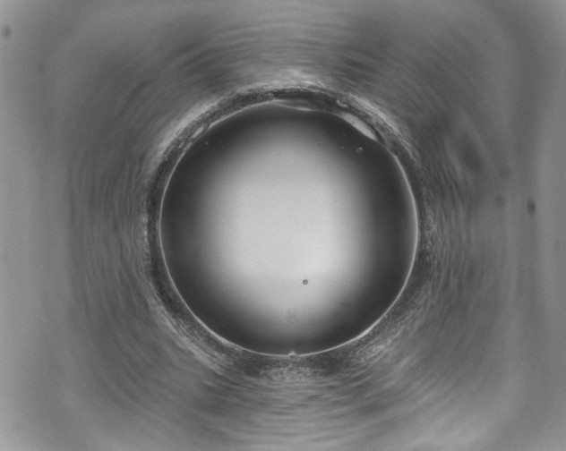 X0000070880535200606191317