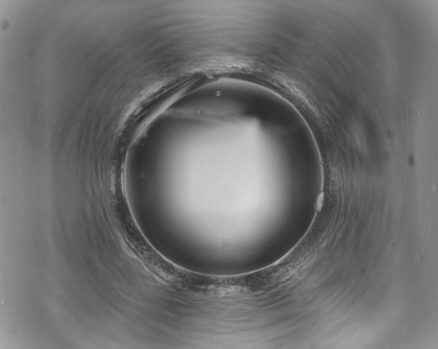 X0000070880539200606191317