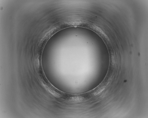 X0000070880541200606191318