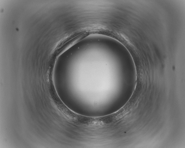 X0000070880543200606191318