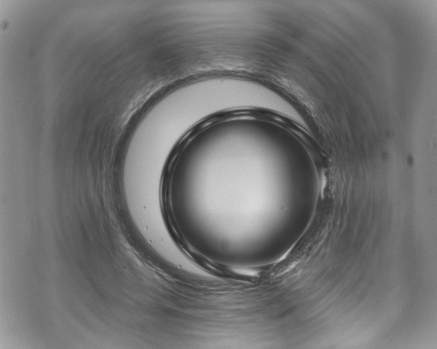 X0000070880544200606191318