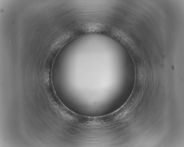 X0000070880545200606191318