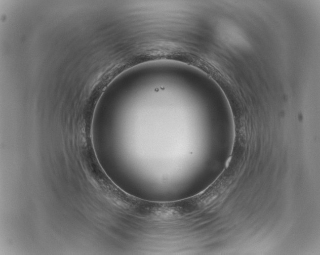 X0000070880547200606191318