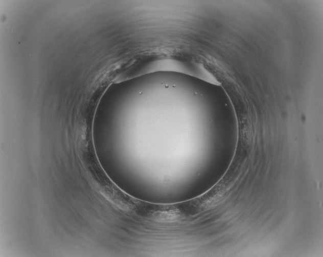 X0000070880548200606191318