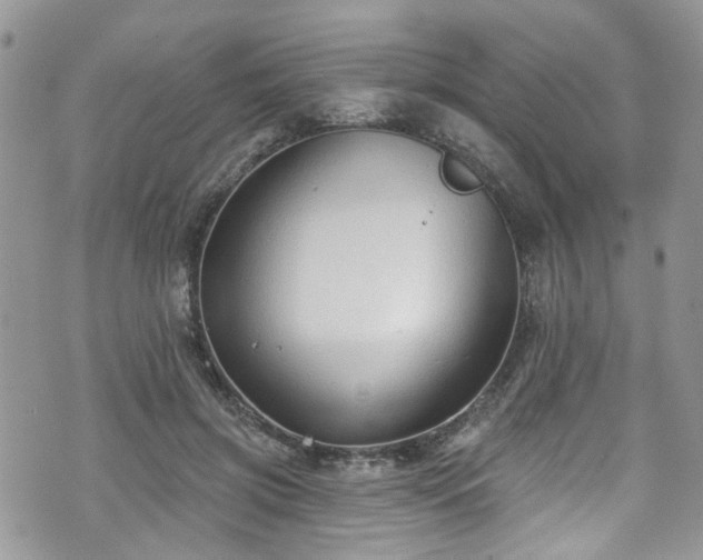 X0000070880549200606191318