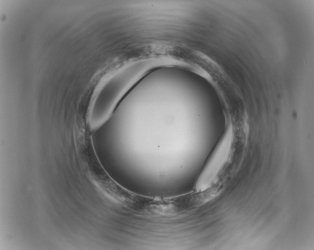 X0000070880552200606191318