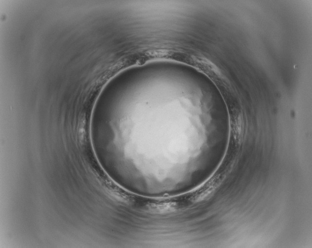 X0000070880553200606191318