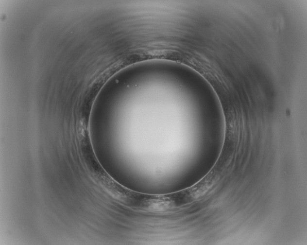 X0000070880555200606191318