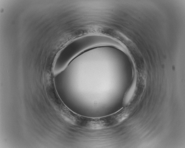 X0000070880556200606191318