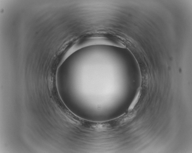 X0000070880558200606191318