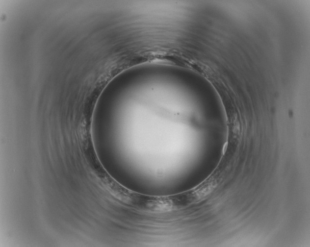 X0000070880559200606191318