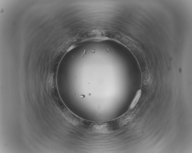 X0000070880560200606191318