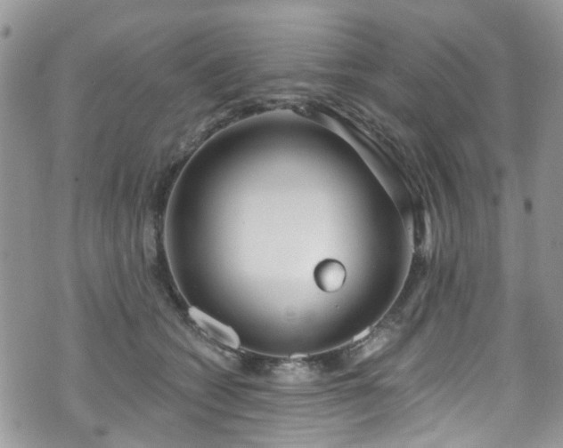 X0000070880562200606191318