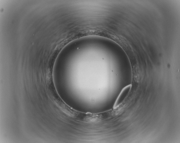 X0000070880563200606191318