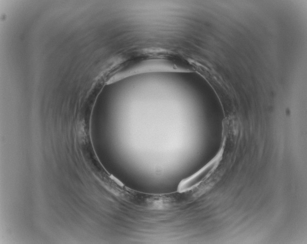 X0000070880564200606191318