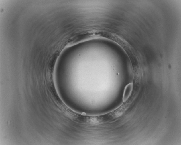 X0000070880565200606191318