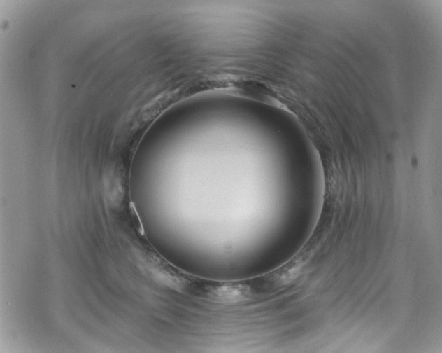 X0000070880566200606191318