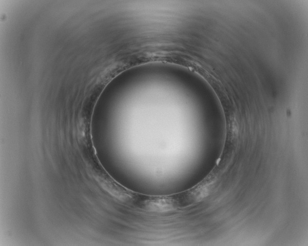 X0000070880567200606191318