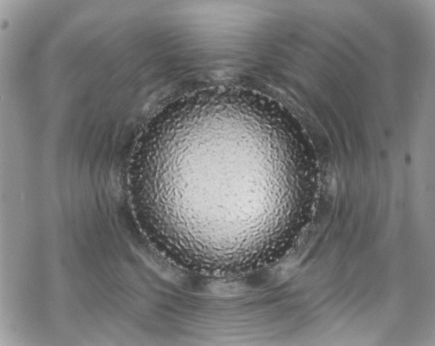 X0000070880568200606191318