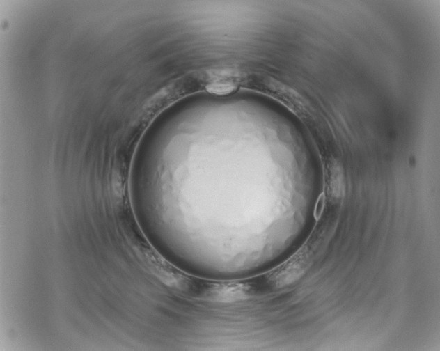 X0000070880569200606191318