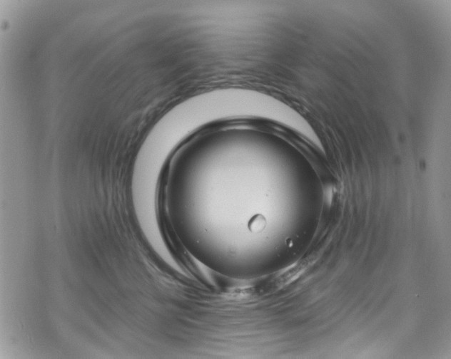 X0000070880570200606191318