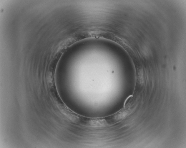 X0000070880571200606191318