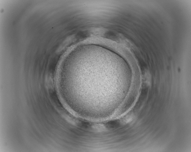 X0000070880572200606191318