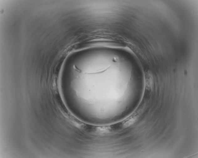 X0000070880573200606191318